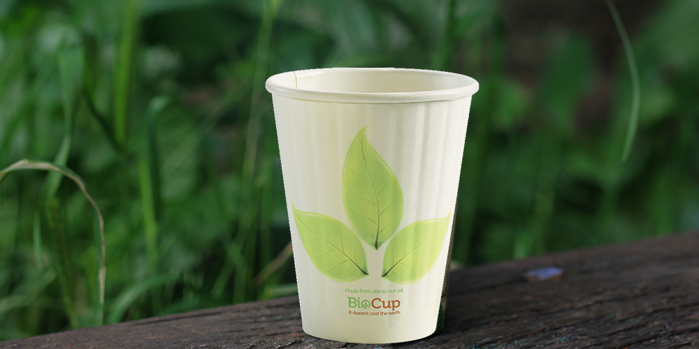 biodegredable coffee cups