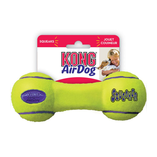 kong air dog