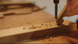 GIF Image 2
