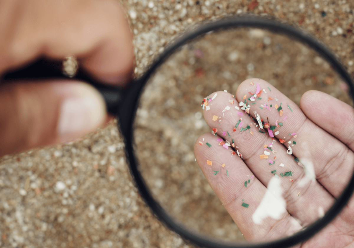 microplastics under magnifier