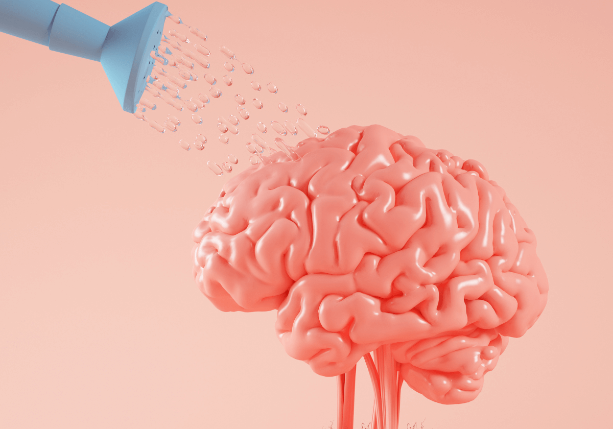 water help for brain