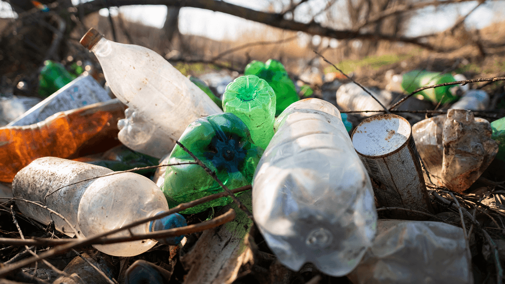 ground littered with plastic bottles