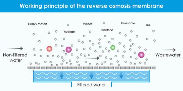 Do you need an ultrafiltration system or a reverse osmosis water filter system?