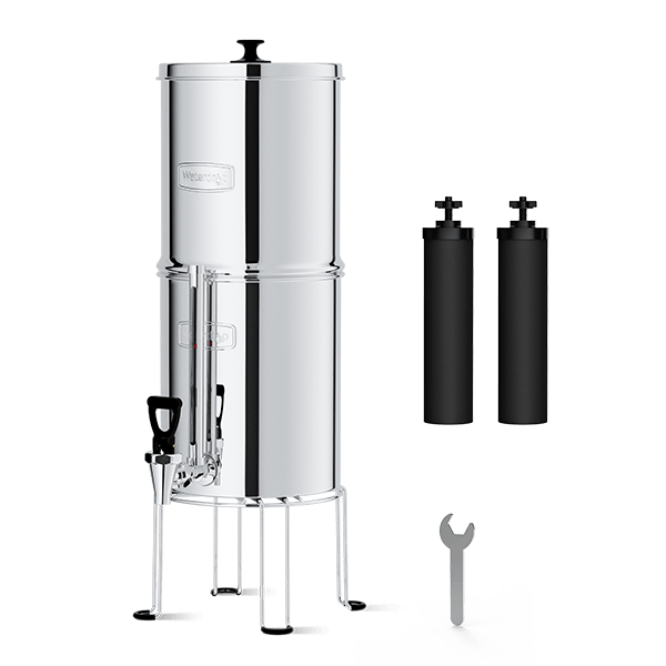 Basics Inline Water Filter with Flexible Hose Protector, White