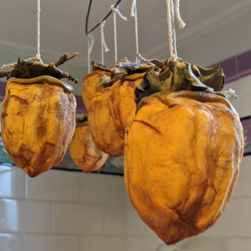 Persimmon-hanging