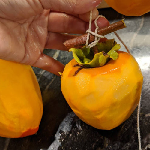 Persimmon-hanging