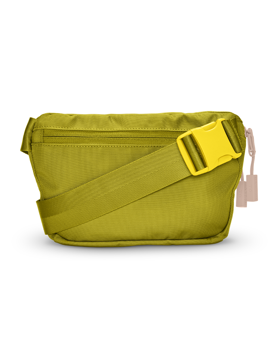 Fannypack