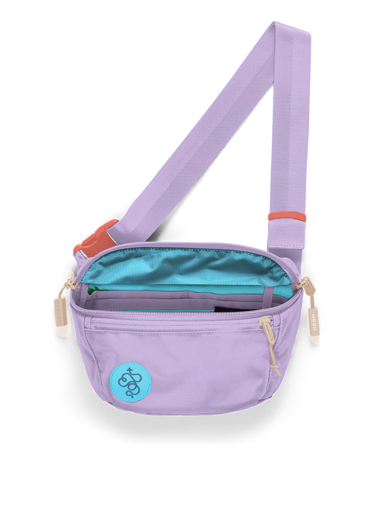 Fannypack (3L): For festivals, city adventures or travel · Baboon to ...