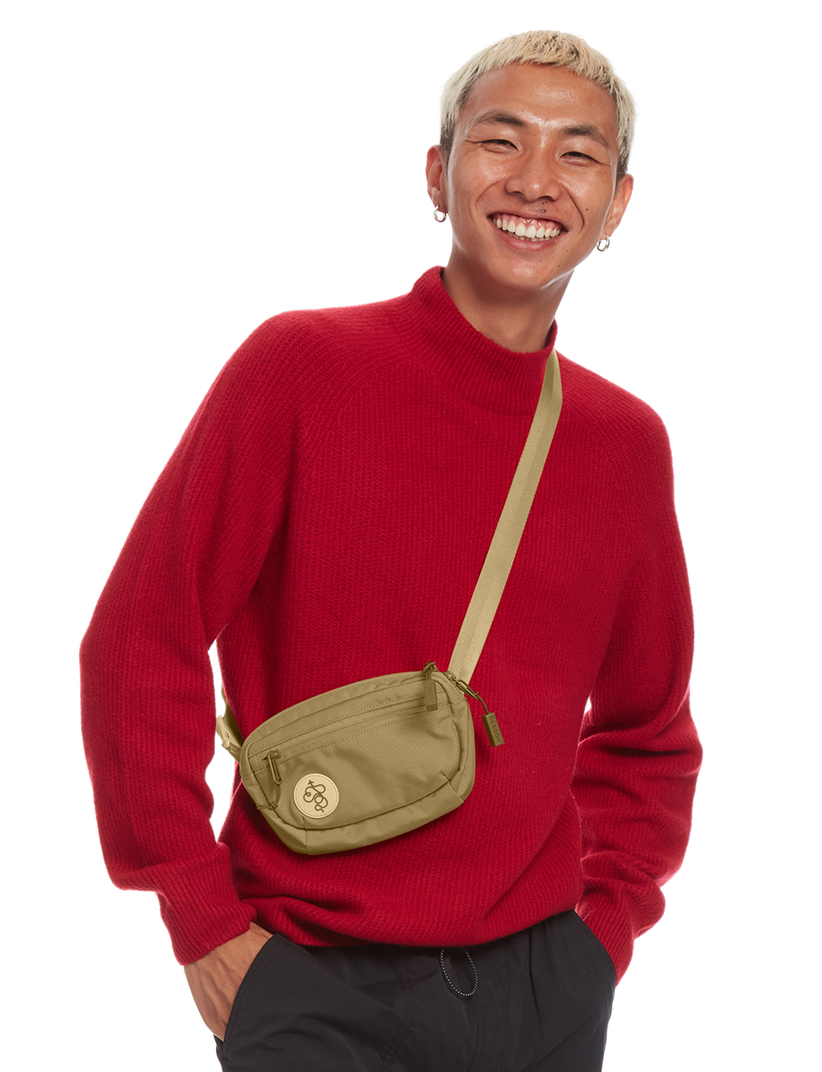 Fannypack Mini