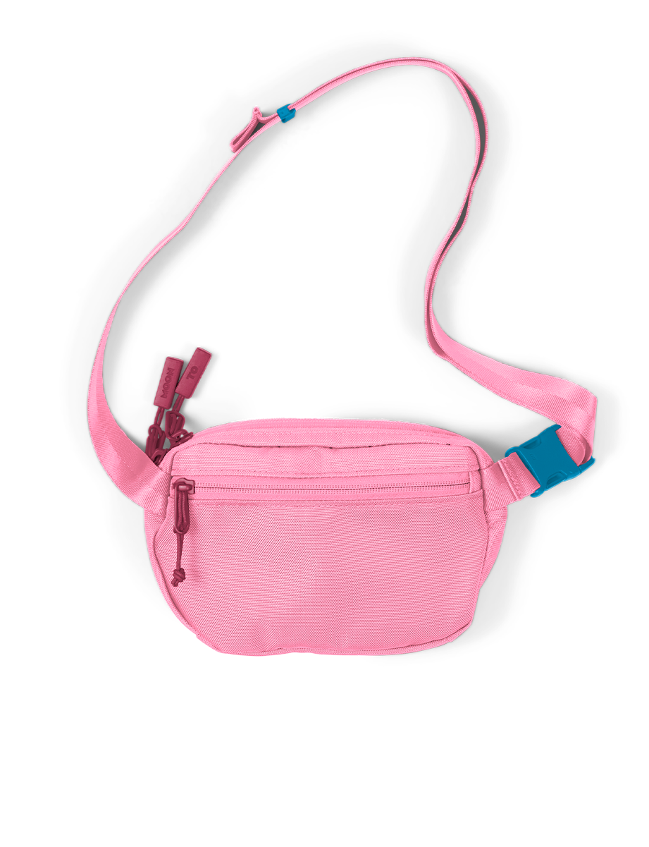 Fannypack Mini