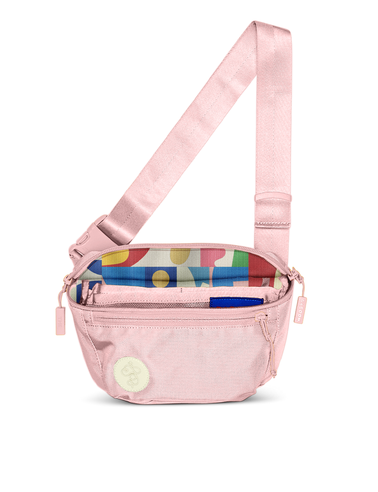 Fannypack (3L): For festivals, city adventures or travel · Baboon to ...