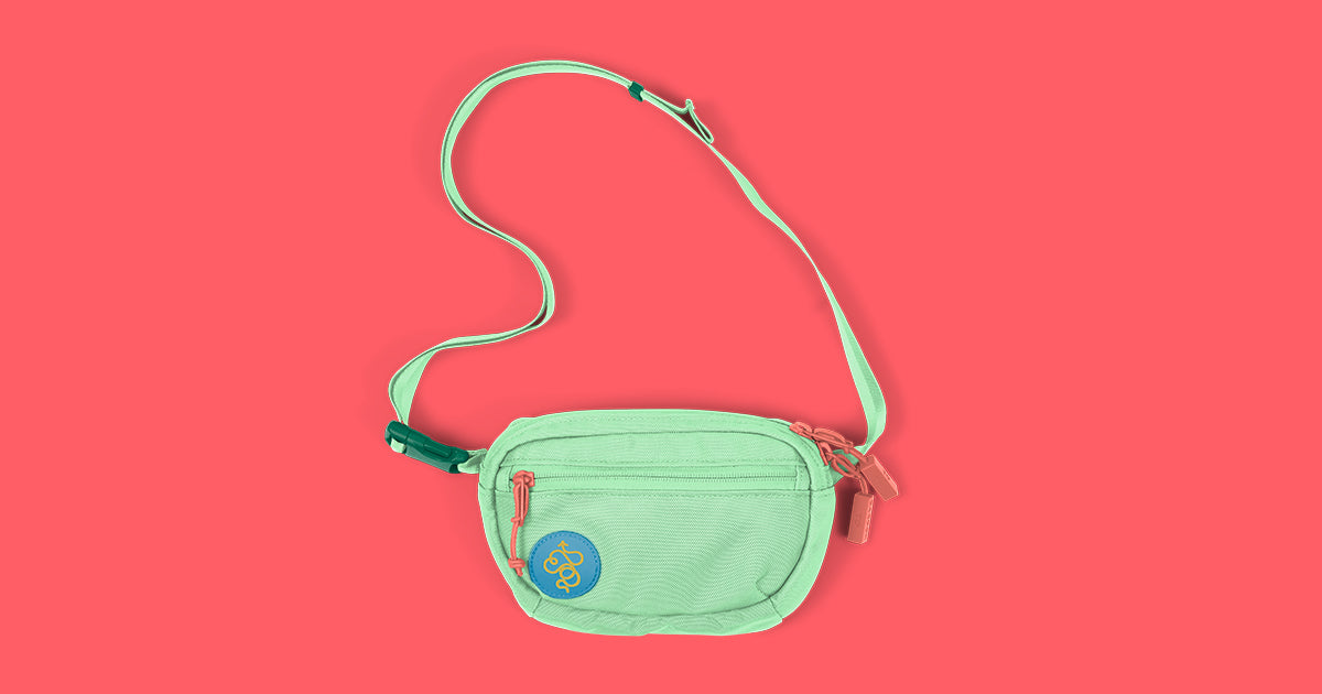 Fannypack (3L): For festivals, city adventures or travel · Baboon to the  Moon