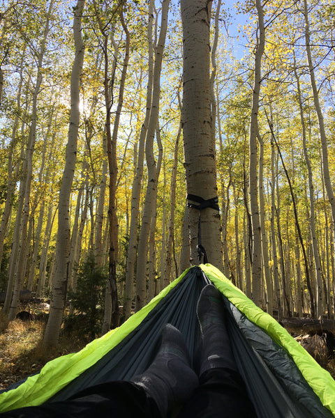 Two socked feet hang in a hammock among golden aspen trees