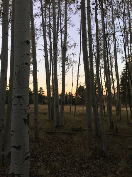 Sunset over Lockett Meadow before the elk came out