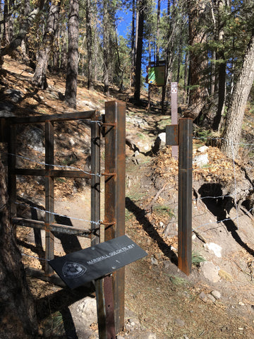 Marshall Gulch Trailhead on Mt Lemmon