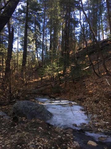 Ice covers a small portion of the creek running along the side of Marshall Gulch Trail