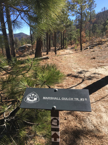 Trail sign reading "Arizona National Scenic Trail Marshall Gulch #3"