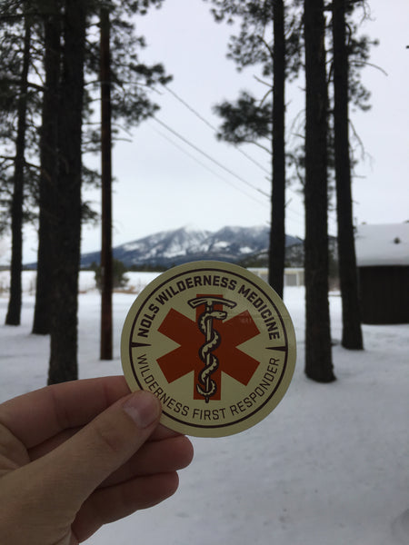 What to Expect from a NOLS Wilderness First Responder (WFR) Course