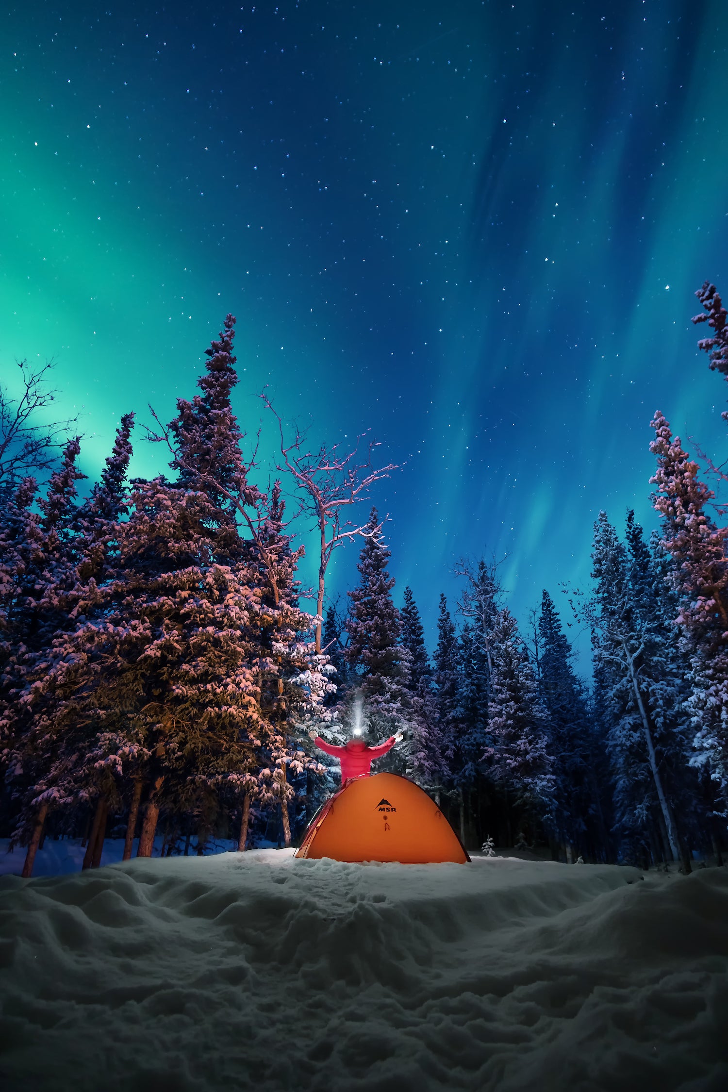 man camping in tent surrounded by snow underneath the northern lights