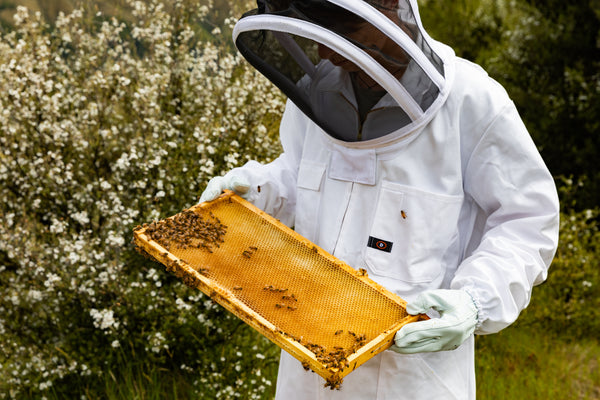 beekeeper white suit holding mānuka honey slate with bees