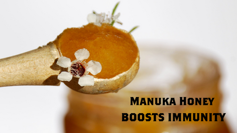 manuka honey boosts the immune system spoon with flower