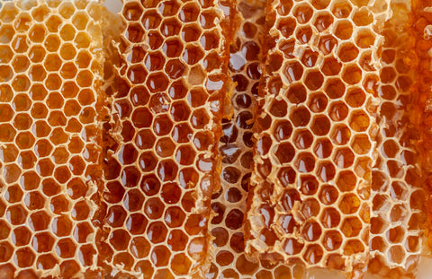 pile of honeycomb