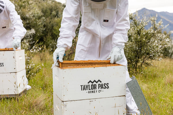 taylor pass honey beekeepers taking beehive out of white container