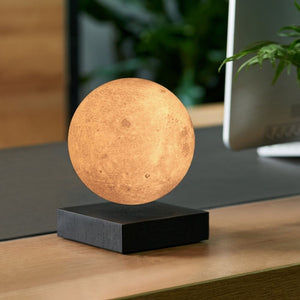 gingko design moon lamp