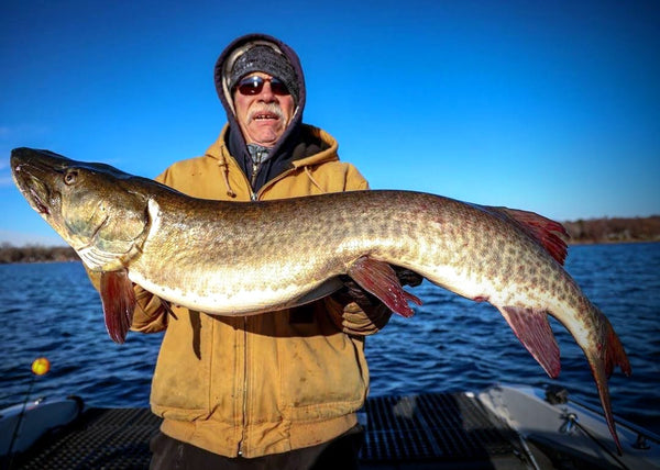 50 inch muskie