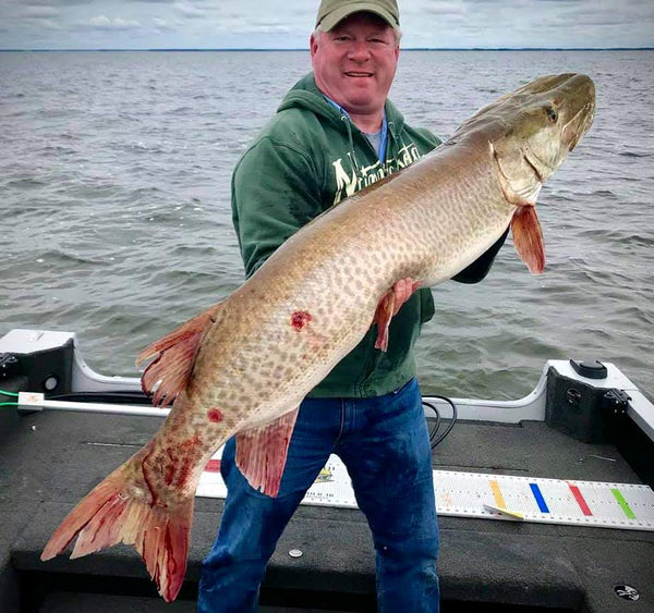 BIG Muskie Fish