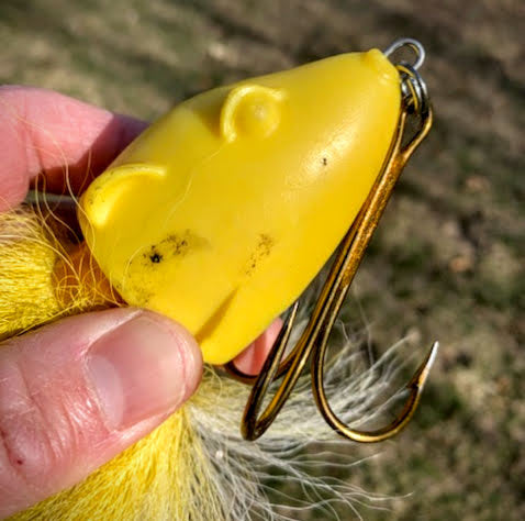 Simple Bait Mod for Spring – Underwater 'skies – Saric & Maina Appeara –  Musky Insider