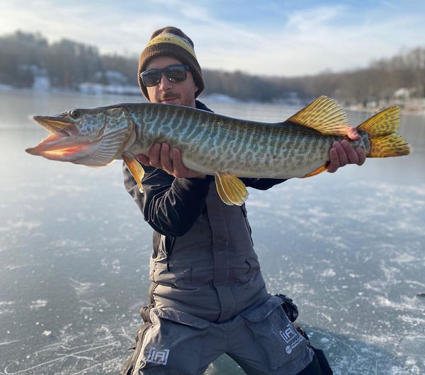 midwestfishergal with a giant musky 🔥 #muskyfishing #fishing  #savagegearamericas