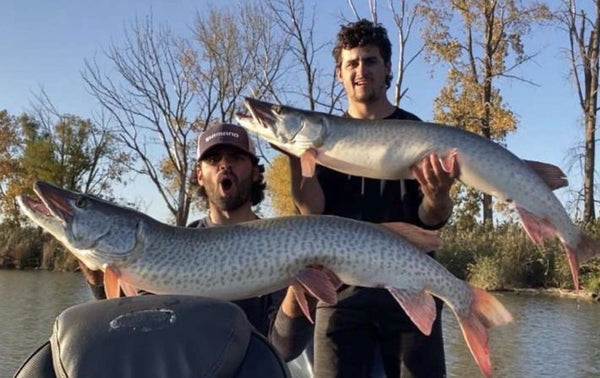 Double Up Musky