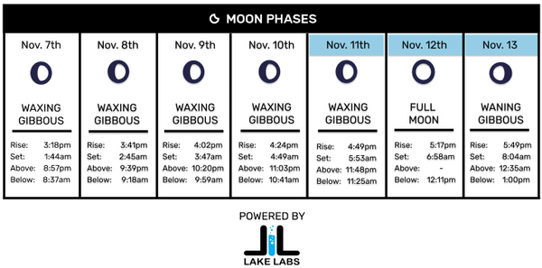 lunar calendar