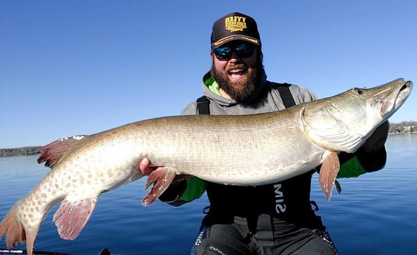Livebait Rigging Systems for Muskies - In-Fisherman