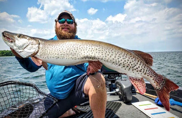 Opening day fish. - Musky, Tiger Musky & Pike (ESOX) - Lake Ontario United  - Lake Ontario's Largest Fishing & Hunting Community - New York and Ontario  Canada