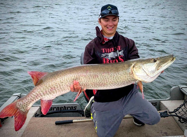 Northern Minnesota Musky 55.5"