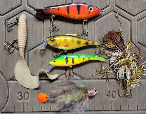 40+lber caught – Spring Bait Selection – GIF Parade – Musky Insider