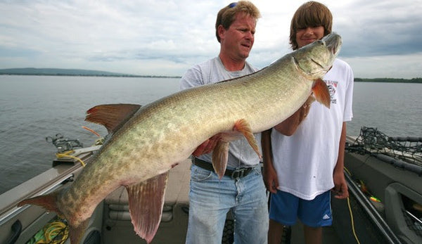 Finding muskie in transition - Ontario OUT of DOORS