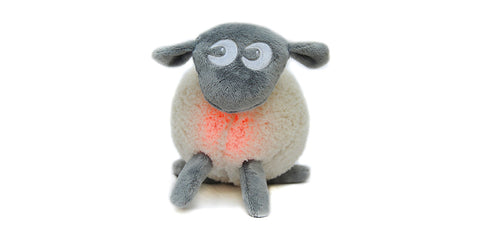 Ewan the dream sheep