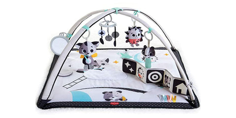 gymini play gym