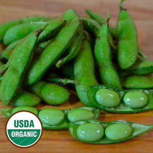 organic envoy soybean seeds for sale online from Seed Savers Exchange
