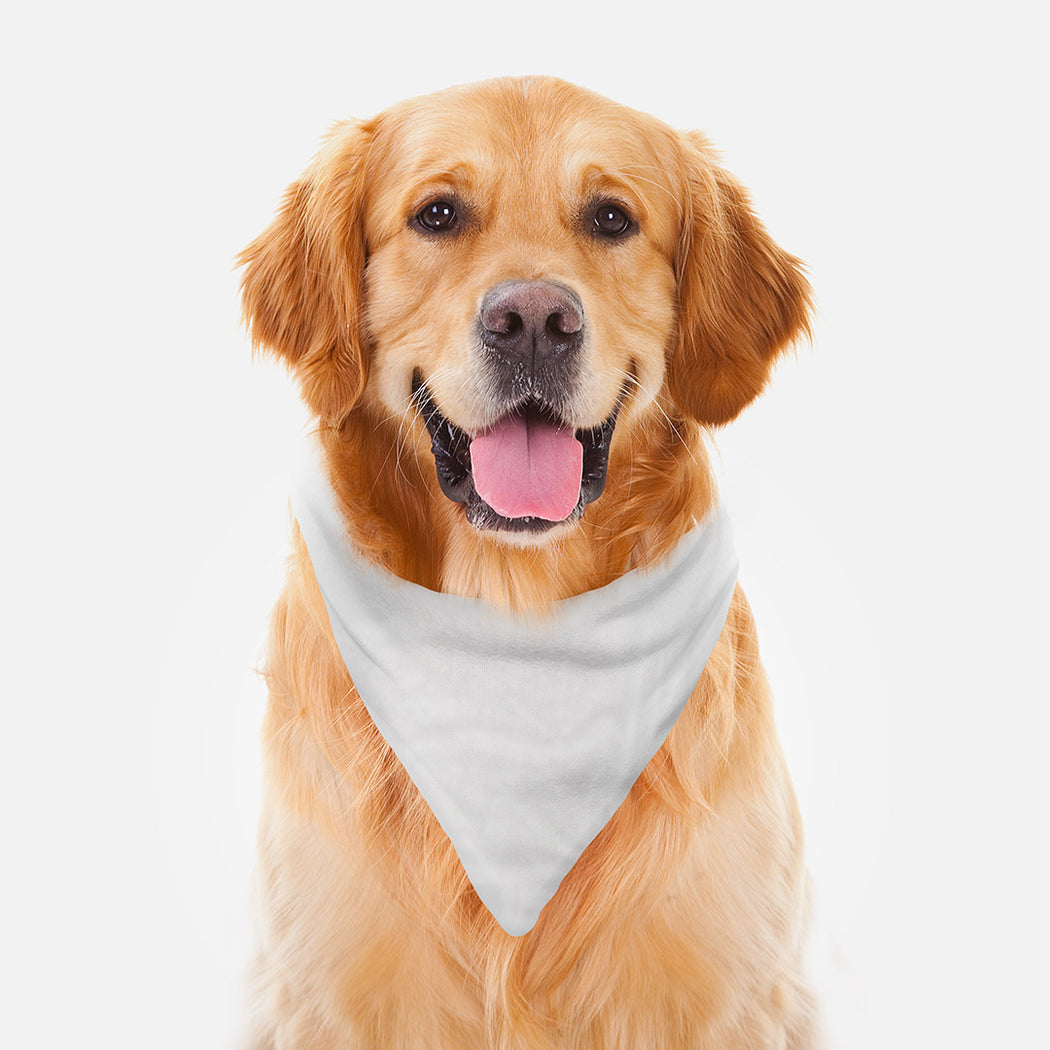 pets at home bandana