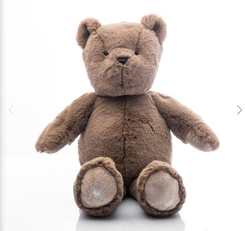 teddy bear with heartbeat