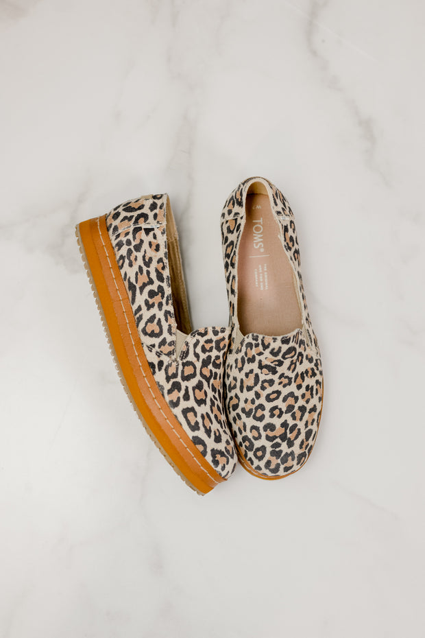 toms palma leopard