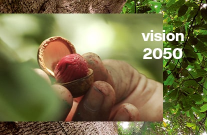 Vision 2050 - Natura