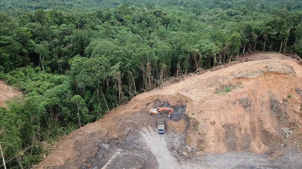 Deforestation in Indonesia