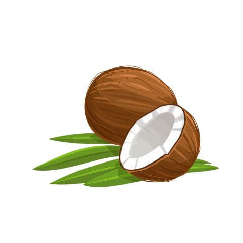 Coconut Oil