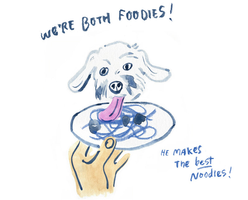 dog eating noodles