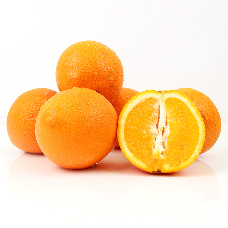 Navel Orange  L Gomori